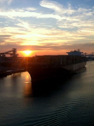 MSC Roma & Savannah Port